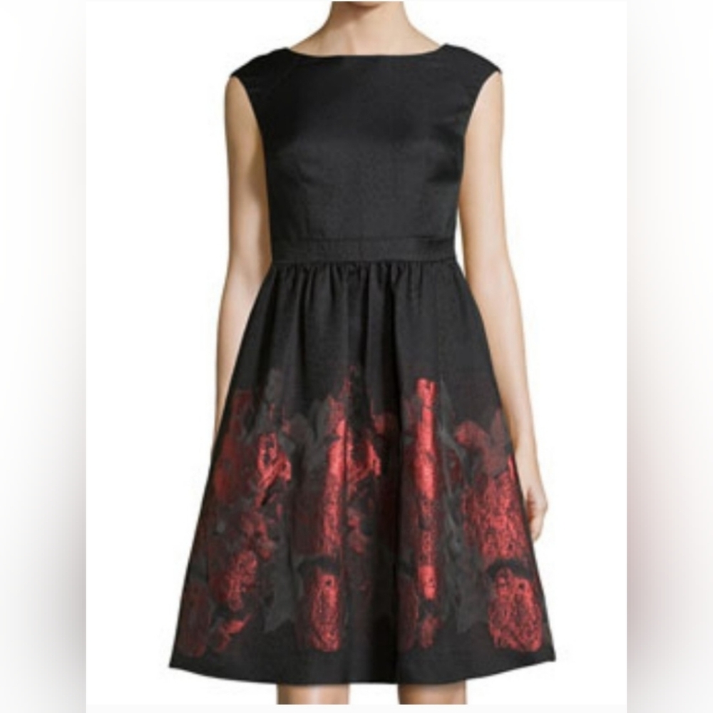 Cynthia Steffe Black and Red  Dress